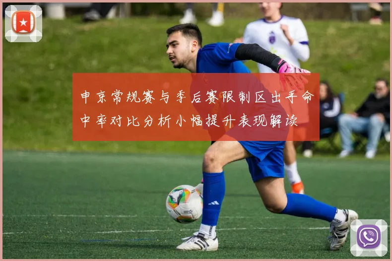 申京常规赛与季后赛限制区出手命中率对比分析小幅提升表现解读