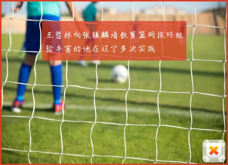 王哲林向张镇麟请教剪篮网技巧经验丰富的他在辽宁多次实践